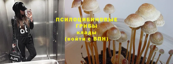 mdpv Арсеньев