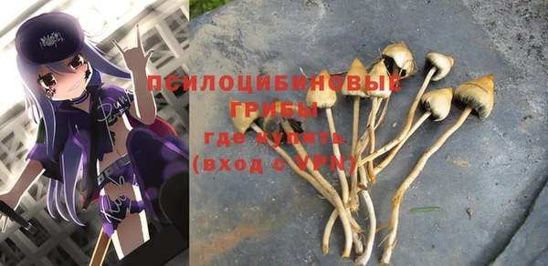 mdpv Арсеньев